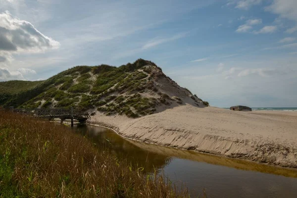 Eine Faszinierende Aufnahme Eines Friedlichen Strandes Unter Blauem Himmel — Stockfoto