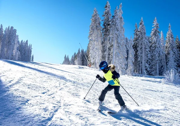 Een Skiër Bergafwaarts Met Een Prachtig Winterlandschap Achtergrond — Stockfoto