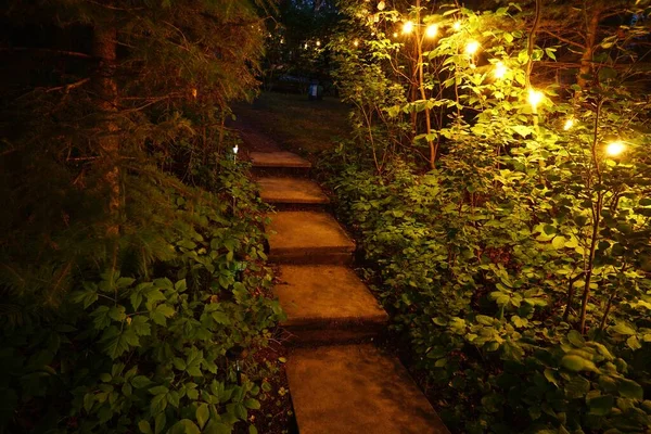 Eine Schöne Aufnahme Des Treppenweges Durch Einen Beleuchteten Garten Der — Stockfoto