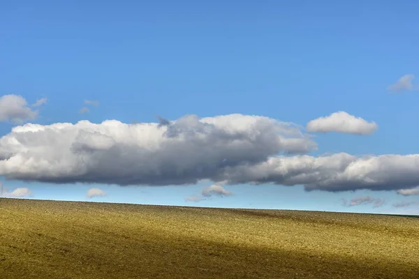 Большой Ландшафт Сухой Пшеницы Небом Полным Облаков — стоковое фото
