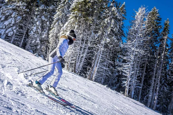 Skieur Mouvement Avec Beau Paysage Hivernal Arrière Plan — Photo