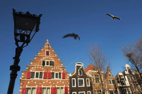 荷兰阿姆斯特丹Het Wapen Van Riga的低视角景观 — 图库照片