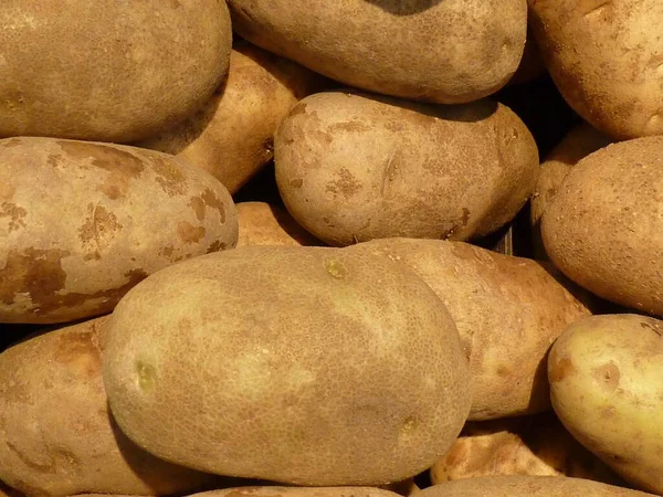 Eine Scharfe Aufnahme Von Kartoffeln Einem Bund Perfekt Für Den — Stockfoto
