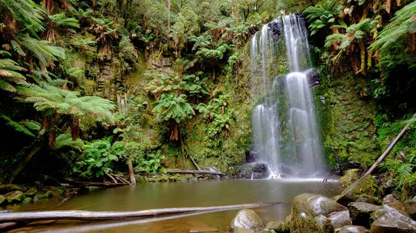 Een Prachtig Shot Van Great Otway National Park Cape Australië — Stockfoto