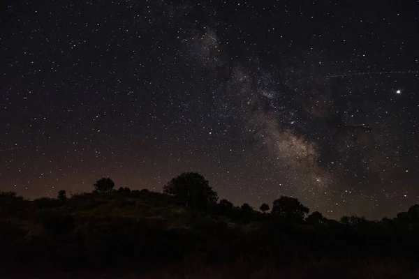 宇宙の星空の下で夜の森のラインの美しい水平ショット — ストック写真