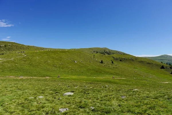 Fotografie Frumoasă Unui Deal Verde Mare Sub Cer Albastru Strălucitor — Fotografie, imagine de stoc