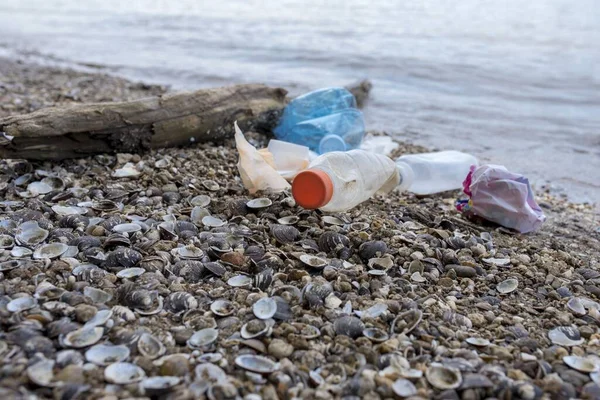 Rocky Beach Plastic Pollution Environmental Pollution Concept — Stock Photo, Image