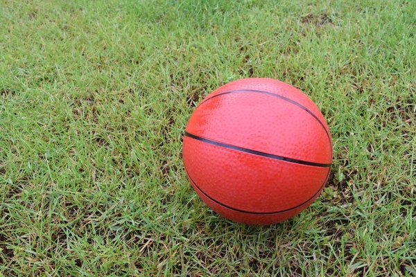 Closeup Shot Red Ball Black Lines Green Grass Stock Photo