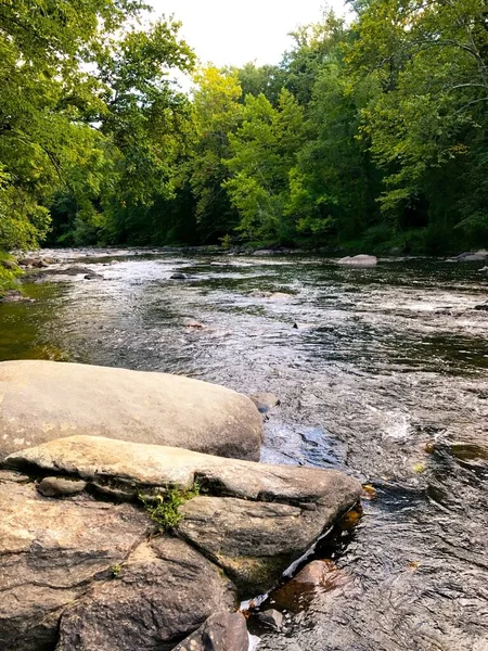 緑豊かな木々に囲まれた川の中の岩の垂直ショット — ストック写真