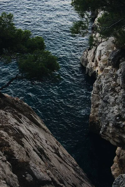 Plano Vertical Los Acantilados Ramas Árbol Junto Mar —  Fotos de Stock