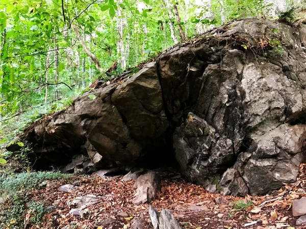 Una Pequeña Cueva Roca Bosque — Foto de Stock