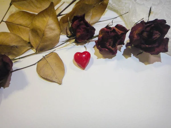 Dried Flowers Heart Valentine Decoration White Table — Stock Photo, Image