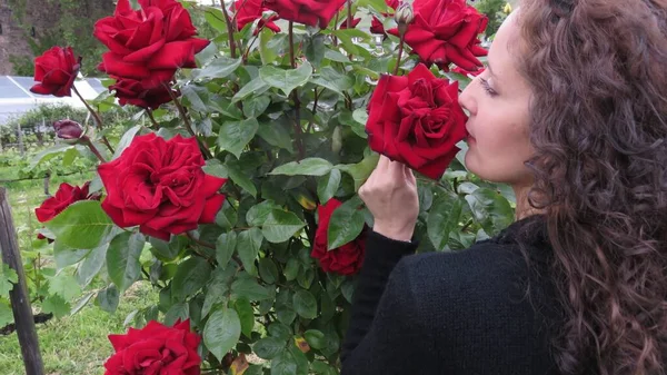 庭で赤いバラの匂いがする魅力的な女性 — ストック写真