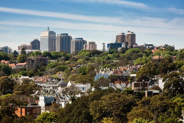 Una Hermosa Foto Del Centro Ciudad Darlinghurst Rodeado Árboles Australia — Foto de Stock