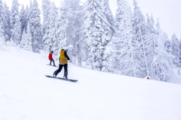 Los Snowboarders Bajando Colina Resort Montaña —  Fotos de Stock