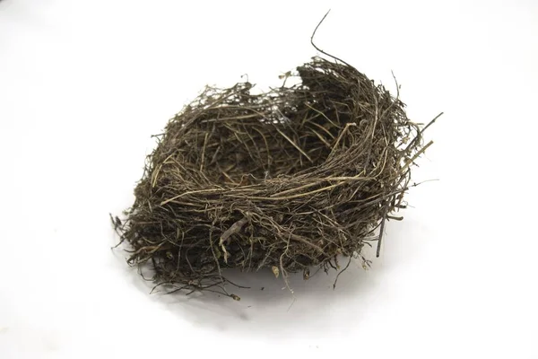 Bird Nest Made Dry Grass Twigs Blackbirds Isolated White Background — Stock Photo, Image