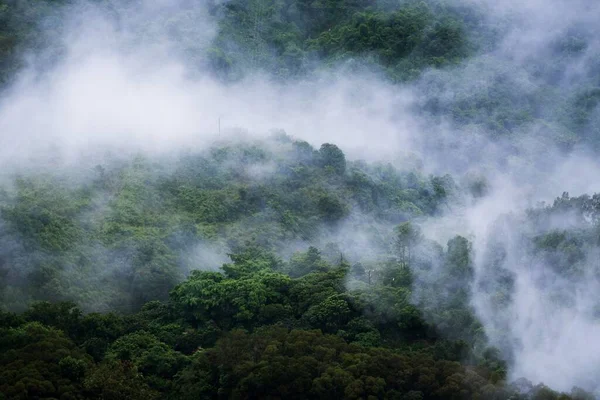 Uma Foto Hipnotizante Uma Paisagem Nebulosa Criando Cenário Misterioso — Fotografia de Stock