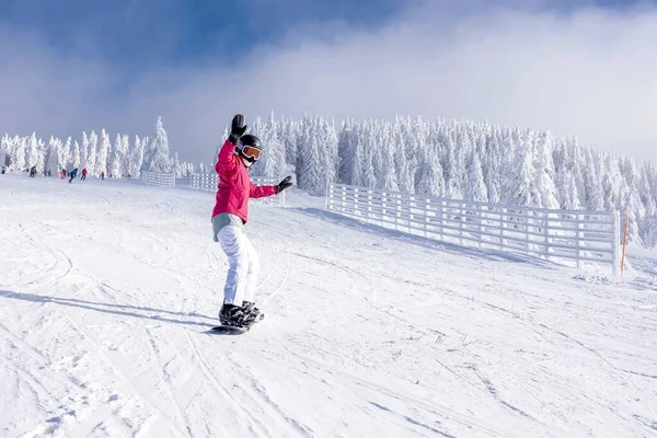 눈덮인 나무들이 휴양지를 언덕을 내려오는 스노보드 — 스톡 사진