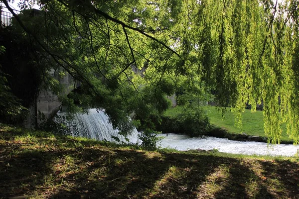 Uma Bela Vista Uma Cachoeira Cercada Por Campos Cobertos Grama — Fotografia de Stock