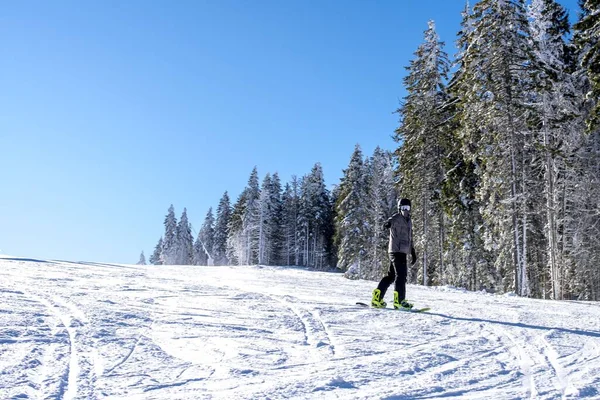 Arka Planda Güzel Bir Kış Manzarası Olan Hareketli Bir Kayakçı — Stok fotoğraf