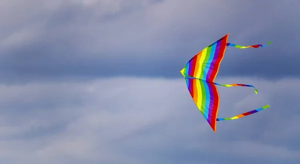一只色彩艳丽的风筝在夏日多云的夜空中翱翔 — 图库照片