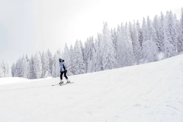 Een Jonge Skiër Beweging Een Bergskigebied Met Een Prachtig Winterlandschap — Stockfoto