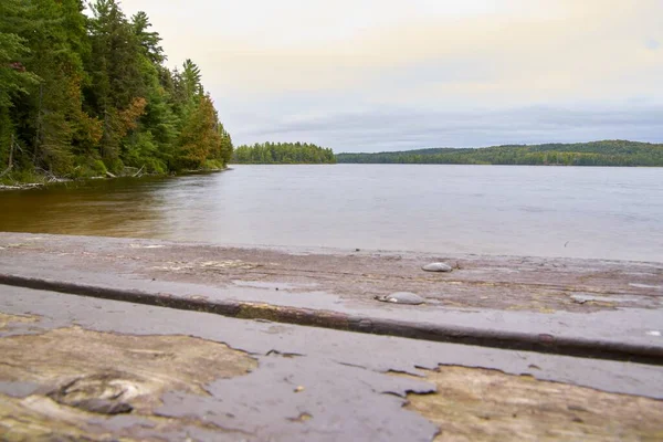 Magnifique Plan Lac Réfléchissant Entouré Arbres Verts Canada — Photo