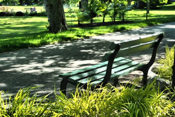 Una Panchina Legno Colore Verde Sentiero Parco Catturato Durante Giorno — Foto Stock