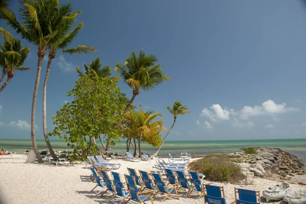 Key West États Unis Mars 2012 Chaises Longues Tés Palmiers — Photo