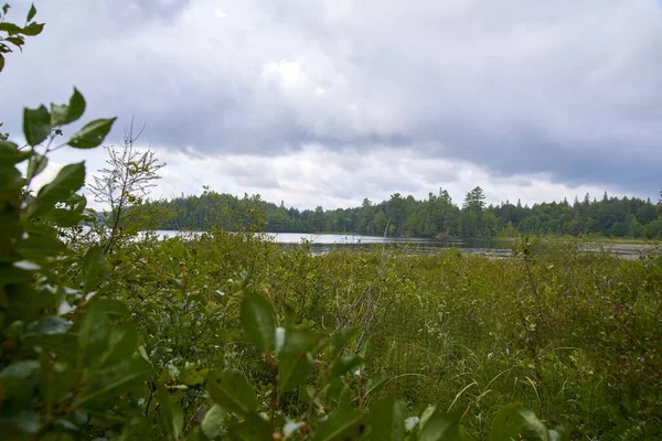 Egy Gyönyörű Kép Egy Folyóról Egy Mezőn Egy Kanadai Erdő — Stock Fotó