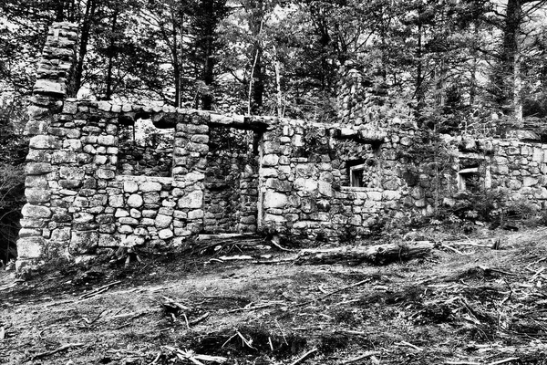 Gråskala Bild Ruinerna Gammal Och Bortglömd Lodge Ett Fält Fångas — Stockfoto