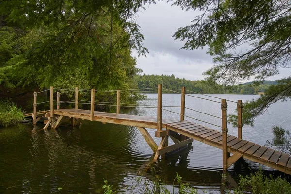 カナダの木に囲まれた水の上の木製の橋 — ストック写真