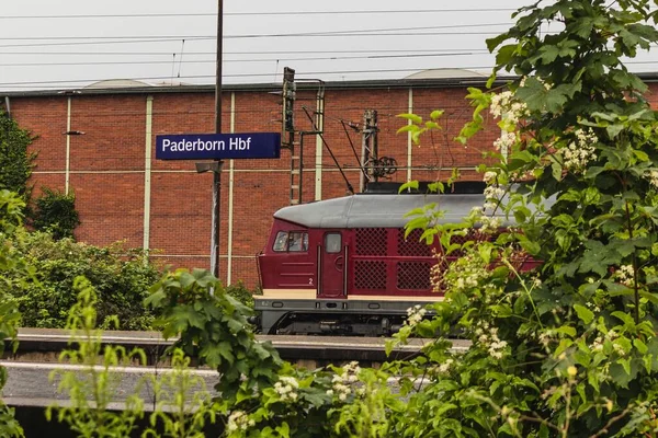 Paderborn Germany Jul 2020 Railway Engine Locomotive Called Ludmilla Railway — Stock Photo, Image