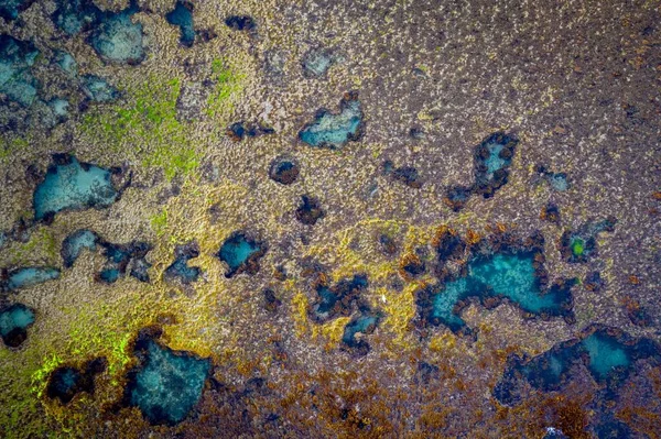 Arrecife Coral Mirando Hacia Abajo Desde Dron — Foto de Stock