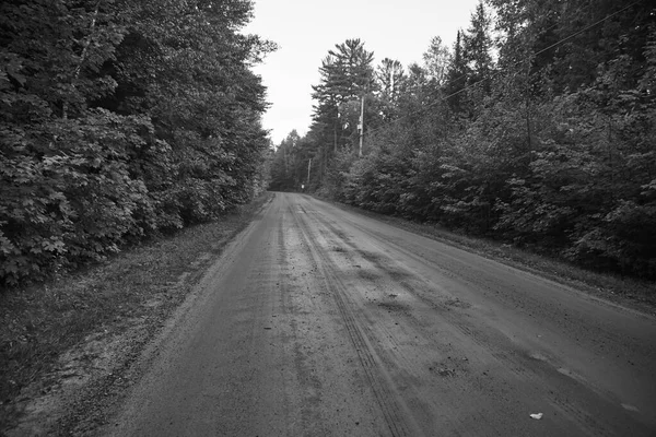 Eine Graustufenaufnahme Einer Ländlichen Straße Die Durch Einen Wald Kanada — Stockfoto