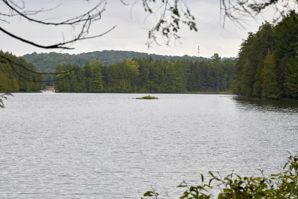 Lago Cercado Por Árvores Canadá Sob Céu Nublado — Fotografia de Stock