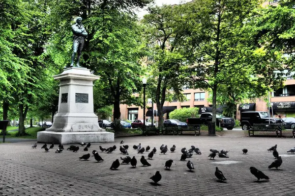 Gli Uccelli Terra Davanti Una Statua Parco Catturato Durante Giorno — Foto Stock