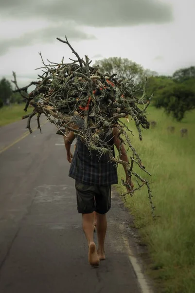 一个勤劳的人肩上扛着木枝走路 — 图库照片