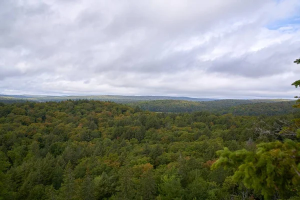 Flygbild Ett Stort Skogsområde Molnig Himmel Bakgrund Kanada — Stockfoto