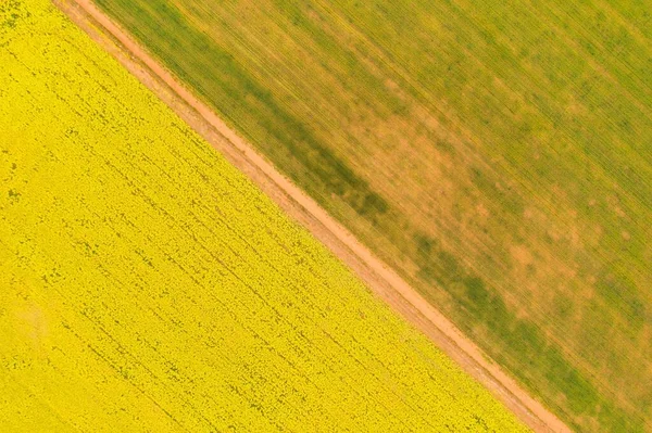 Batı Avustralya Daki Canola Ekin Çiftliği Nin Yüksek Açılı Bir — Stok fotoğraf