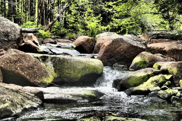 Rocky Parts River Captured Daytime Halifax Summer — Stock Photo, Image