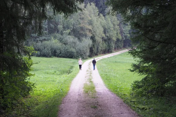 Yetişkin Kadın Ormanda Yürüyüşe Çıkıyor Sosyal Mesafeyi Koruyorlar — Stok fotoğraf