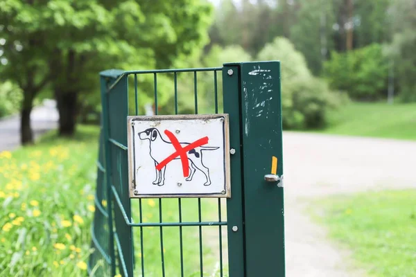 Sinal Não São Permitidos Animais Estimação Anexado Portão Verde — Fotografia de Stock