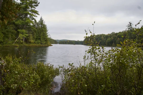 Lago Cercado Por Árvores Canadá Sob Céu Nublado — Fotografia de Stock