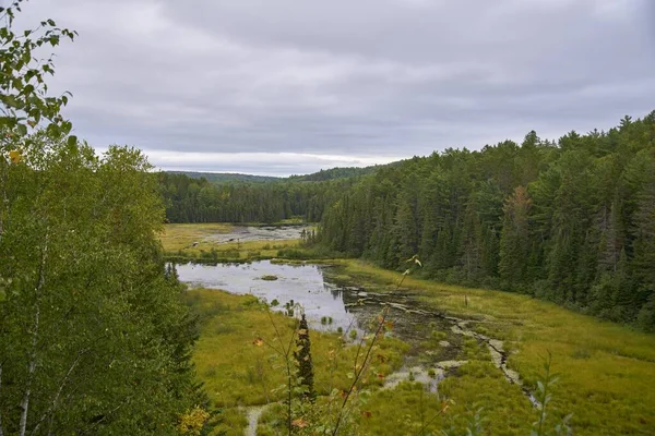 Colpo Aereo Fiume Circondato Una Prateria Una Foresta Canada — Foto Stock