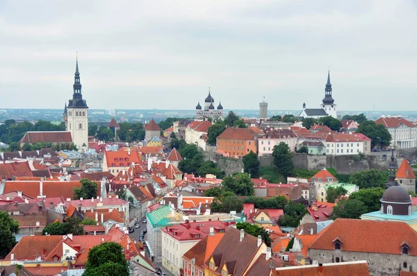 Över Röda Tak Och Kyrkor Gamla Stan Tallinn Estland — Stockfoto