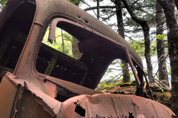 Die Rostigen Metallischen Objekte Wald Die Tagsüber Eingefangen Wurden — Stockfoto