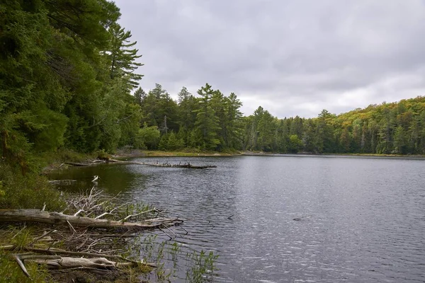 Lac Canada Entouré Par Les Arbres Forêt — Photo