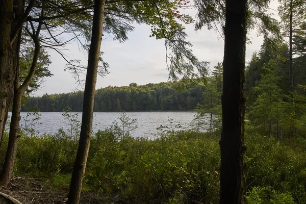 Чудовий Знімок Озера Оточеного Зеленими Деревами Канаді — стокове фото