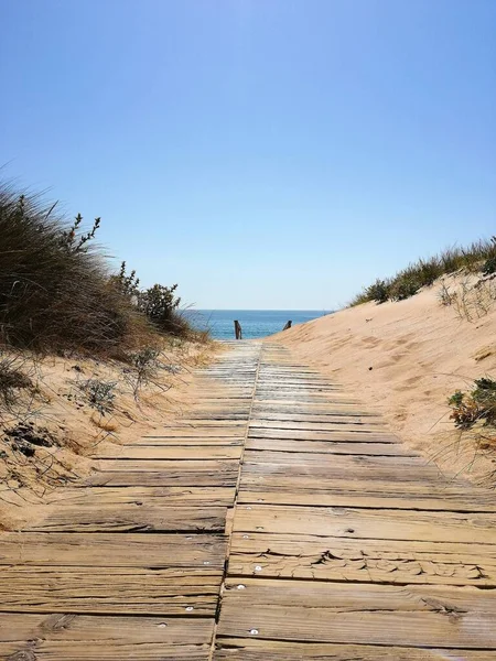 Vertical Shot Wooden Path Leading Sea — Stock Photo, Image